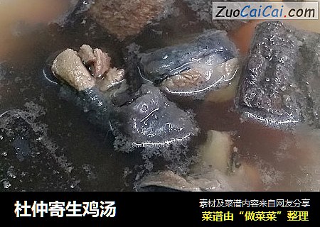 杜仲寄生鸡汤