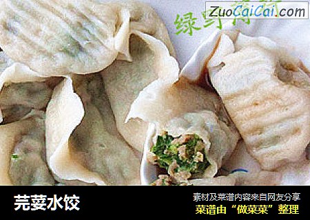 芫荽水饺