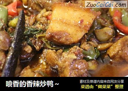 喷香的香辣炒鸭～