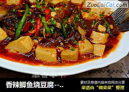 香辣鲫鱼烧豆腐------真的挺配哈