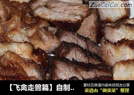 【飞禽走兽篇】自制电饭煲叉烧