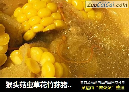 猴头菇虫草花竹荪猪骨汤