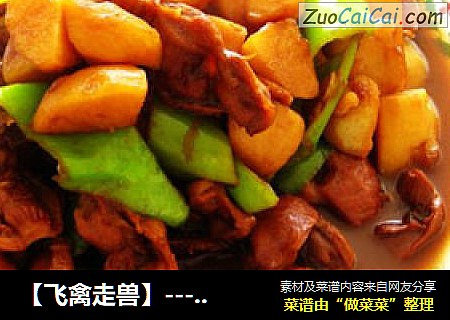 【飞禽走兽】----啤酒鸡胗