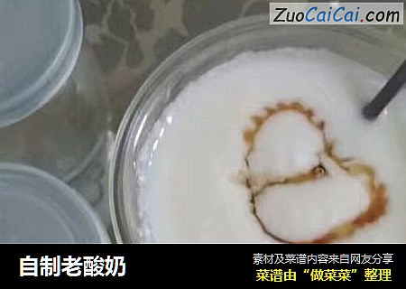 自制老酸奶