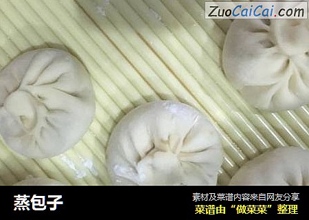 蒸包子
