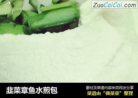 韭菜章鱼水煎包