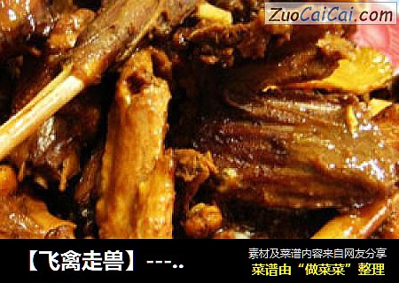 【飞禽走兽】----三黄鸡炖野兔