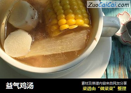 益气鸡汤