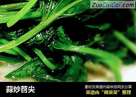 蒜炒苕尖