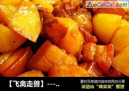 【飞禽走兽】----馕包肉