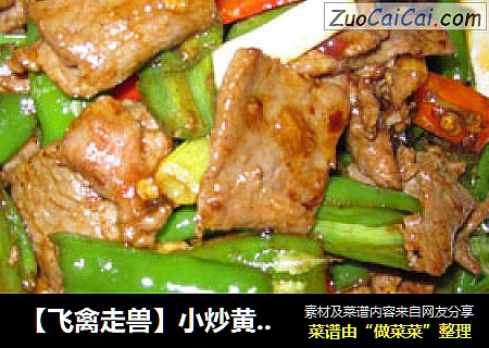 【飞禽走兽】小炒黄牛肉