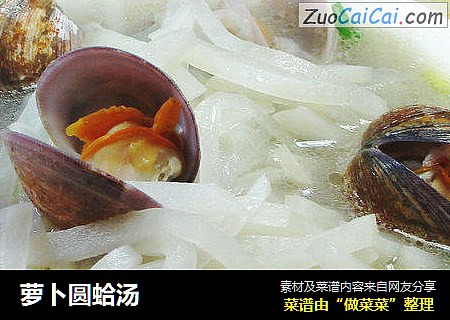 萝卜圆蛤汤 