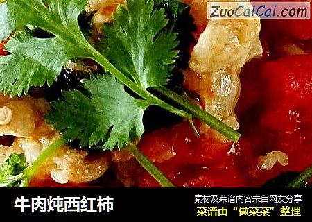 牛肉炖西红柿