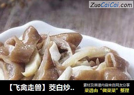 【飞禽走兽】茭白炒肥肠