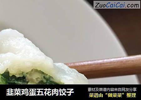 韭菜鸡蛋五花肉饺子