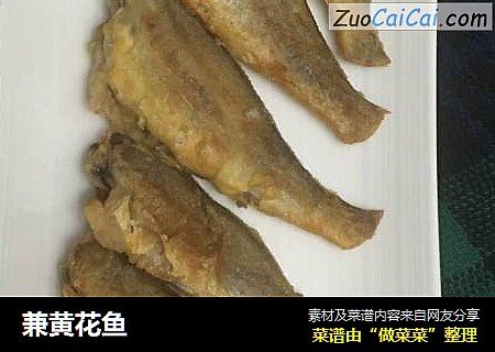 兼黄花鱼