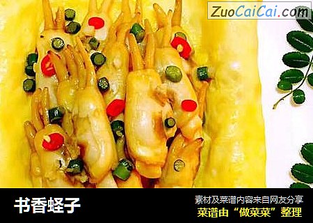 书香蛏子