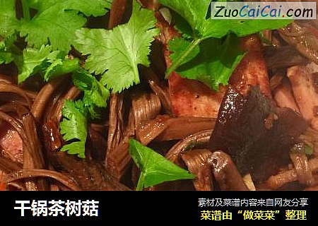 干锅茶树菇