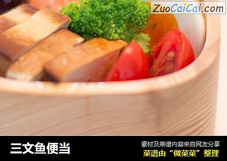 三文鱼便当