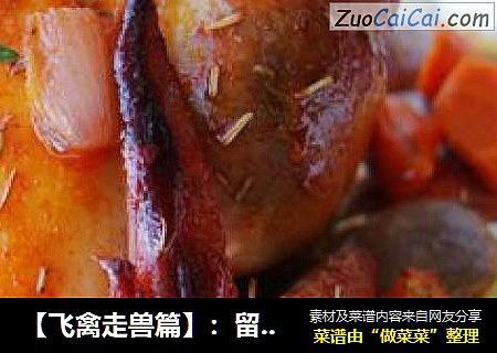 【飞禽走兽篇】：留住回忆---迷迭香烤鸡