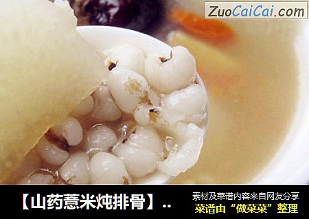 【山药薏米炖排骨】健脾祛湿 润肺益气