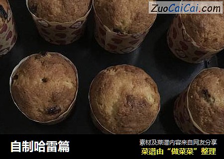 自制哈雷篇