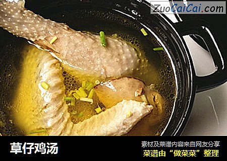 草仔鸡汤