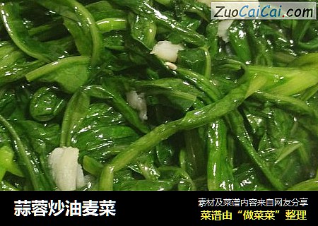 蒜蓉炒油麦菜