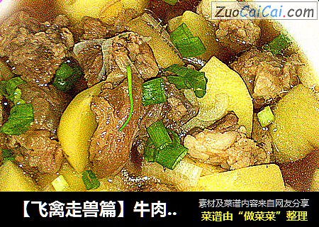 【飞禽走兽篇】牛肉炖土豆