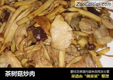 茶树菇炒肉