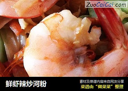 鲜虾辣炒河粉