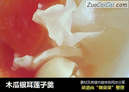 木瓜银耳莲子羹