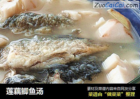 莲藕鲫鱼汤