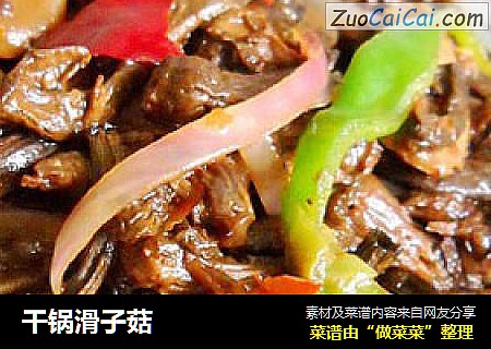干锅滑子菇