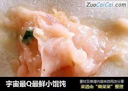 宇宙最Q最鲜小馄饨