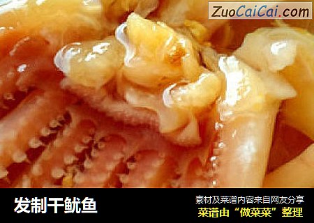 发制干鱿鱼