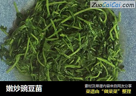 嫩炒豌豆苗
