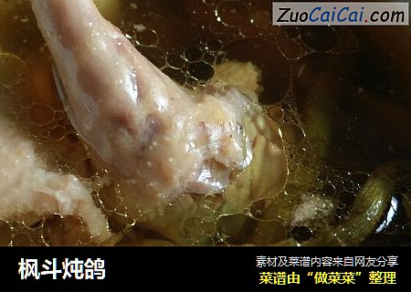 枫斗炖鸽
