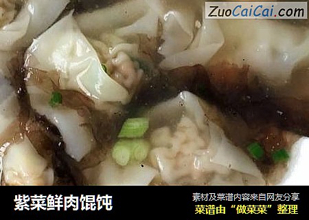 紫菜鲜肉馄饨