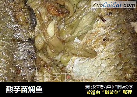 酸芋苗焖鱼