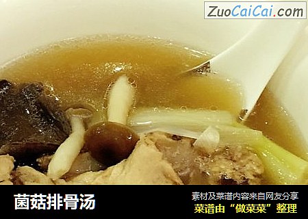 菌菇排骨汤