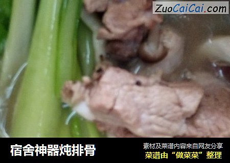 宿舍神器炖排骨