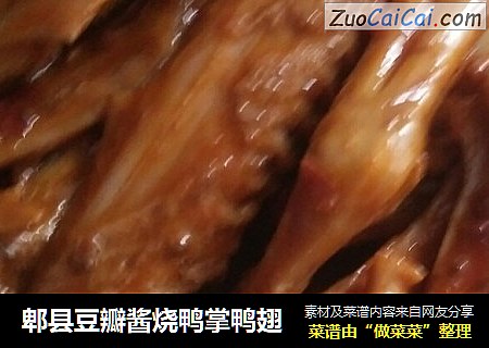 郫县豆瓣酱烧鸭掌鸭翅