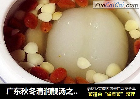 广东秋冬清润靓汤之海底椰炖雪梨