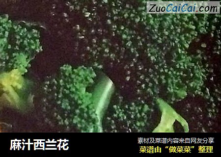 麻汁西兰花