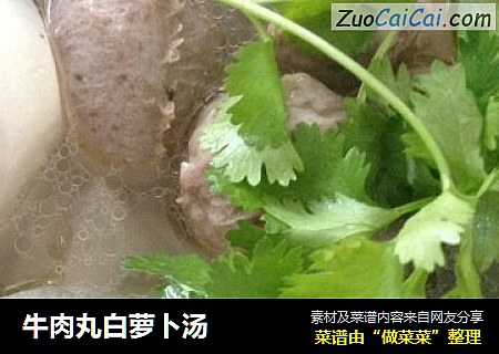 牛肉丸白萝卜汤