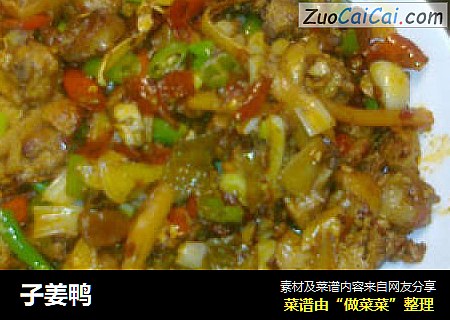子姜鸭
