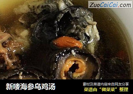 新嘜海参乌鸡汤