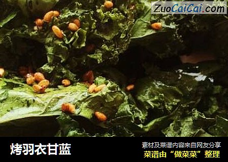 烤羽衣甘蓝