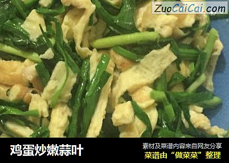 鸡蛋炒嫩蒜叶